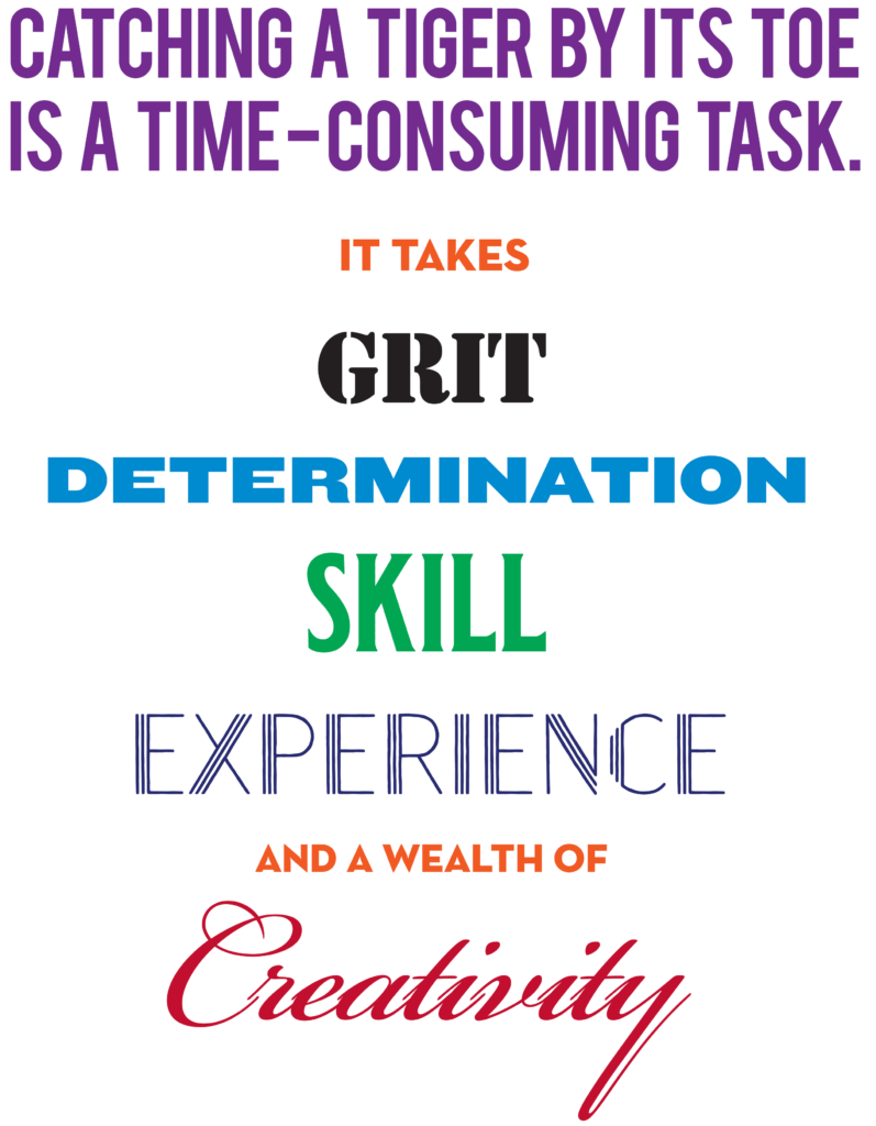 Catching a tiger by its toe is a time-consuming task. It takes grit, determination, skill, experience, and a wealth of creativity.